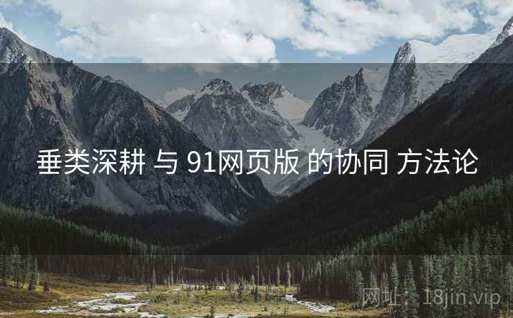 垂类深耕 与 91网页版 的协同 方法论