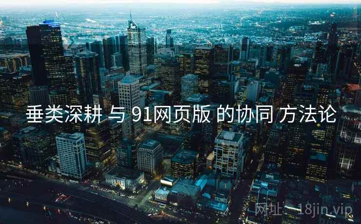垂类深耕 与 91网页版 的协同 方法论