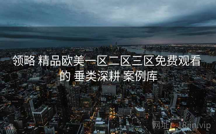 领略 精品欧美一区二区三区免费观看 的 垂类深耕 案例库
