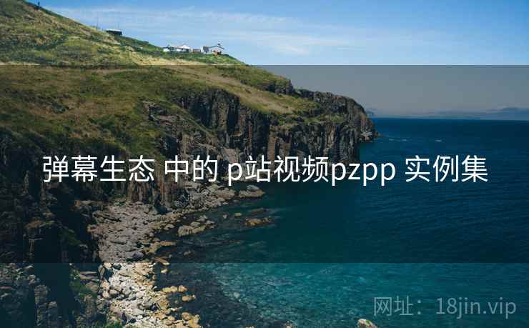 弹幕生态 中的 p站视频pzpp 实例集