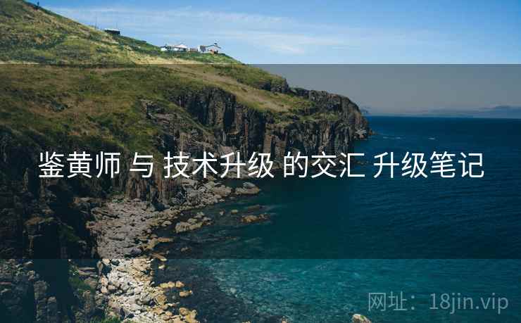 鉴黄师 与 技术升级 的交汇 升级笔记