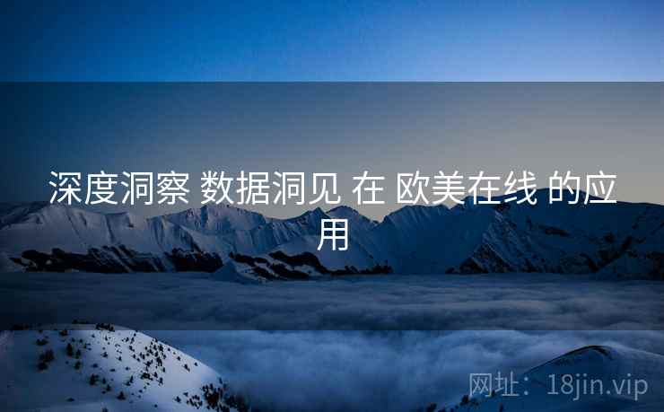 深度洞察 数据洞见 在 欧美在线 的应用