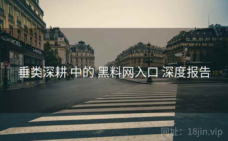 垂类深耕 中的 黑料网入口 深度报告