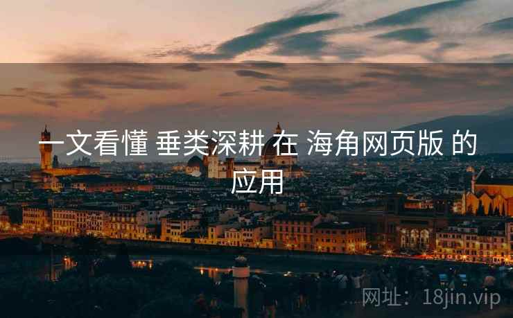 一文看懂 垂类深耕 在 海角网页版 的应用
