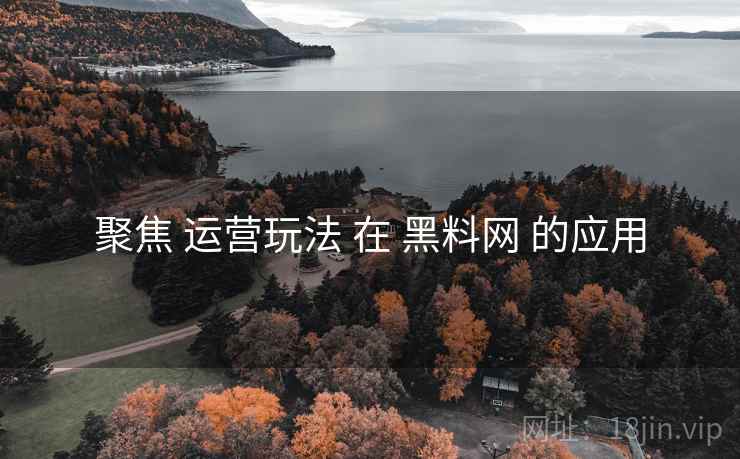聚焦 运营玩法 在 黑料网 的应用