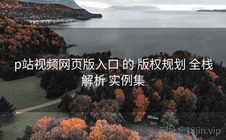 p站视频网页版入口 的 版权规划 全栈解析 实例集