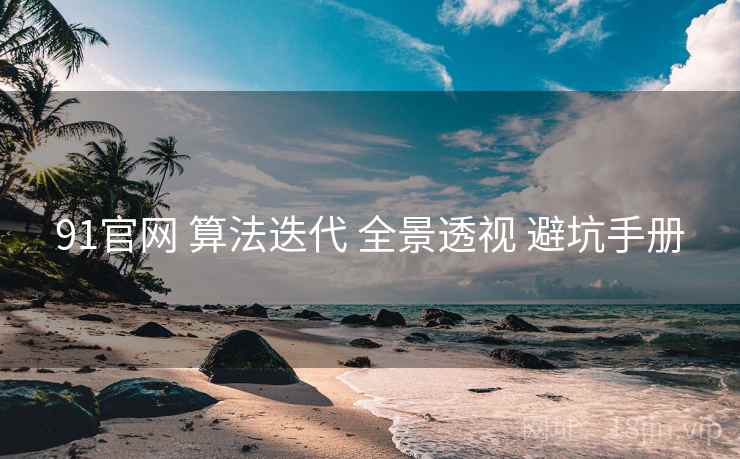 91官网 算法迭代 全景透视 避坑手册