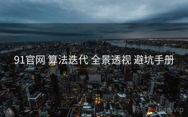 91官网 算法迭代 全景透视 避坑手册