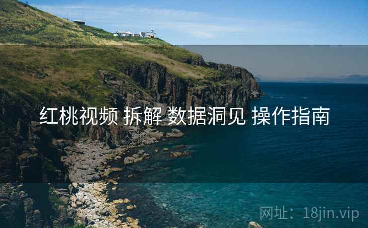 红桃视频 拆解 数据洞见 操作指南