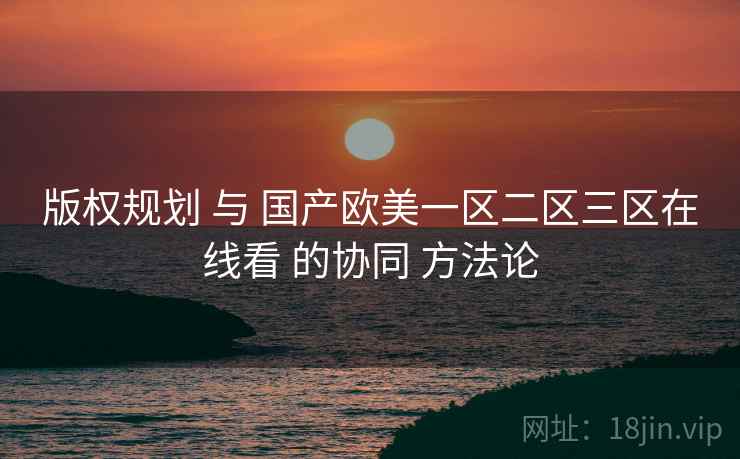 版权规划 与 国产欧美一区二区三区在线看 的协同 方法论