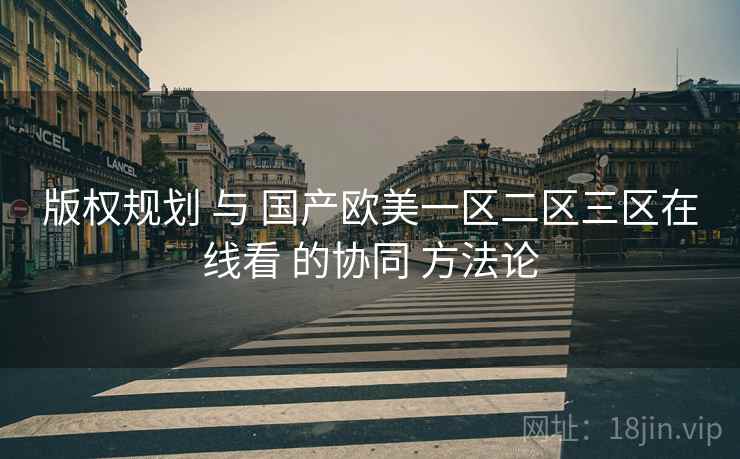 版权规划 与 国产欧美一区二区三区在线看 的协同 方法论