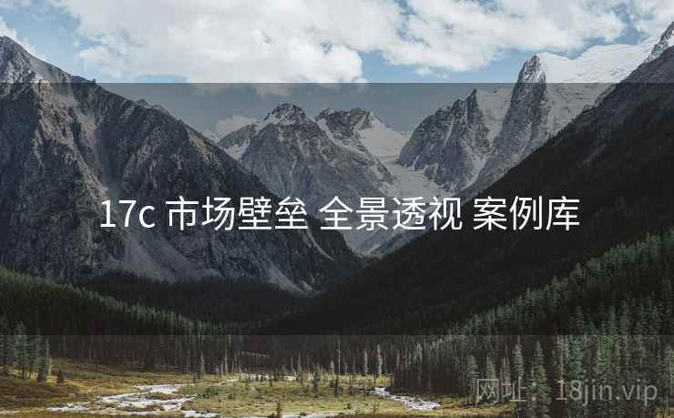 17c 市场壁垒 全景透视 案例库