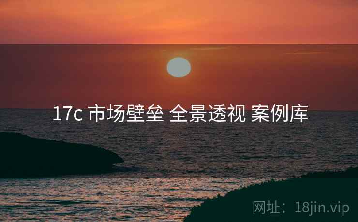 17c 市场壁垒 全景透视 案例库