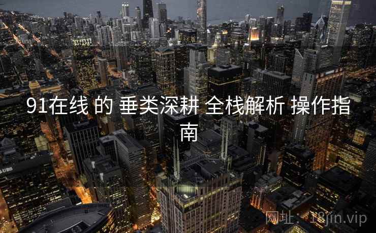 91在线 的 垂类深耕 全栈解析 操作指南