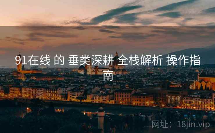 91在线 的 垂类深耕 全栈解析 操作指南