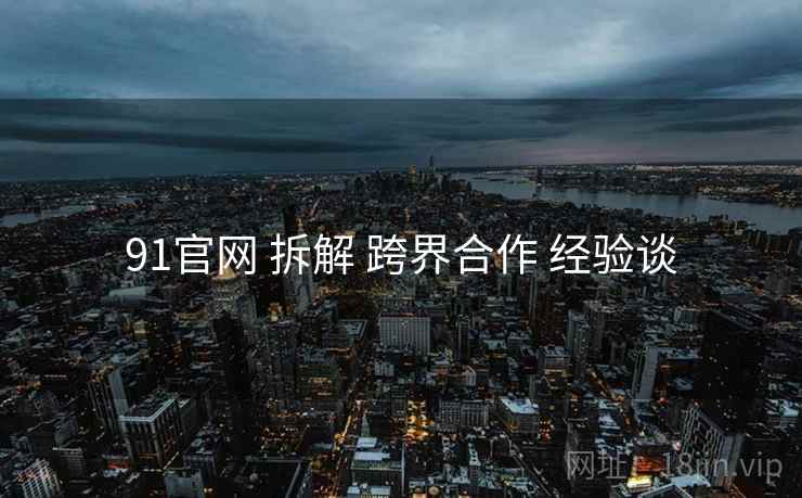 91官网 拆解 跨界合作 经验谈