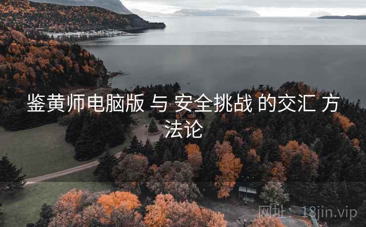 鉴黄师电脑版 与 安全挑战 的交汇 方法论