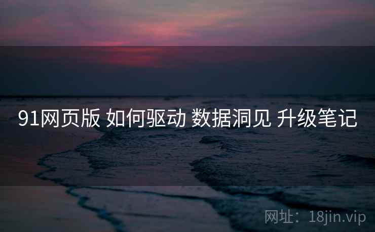 91网页版 如何驱动 数据洞见 升级笔记