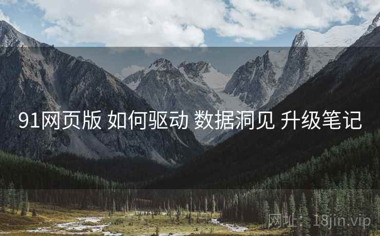 91网页版 如何驱动 数据洞见 升级笔记