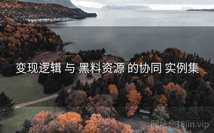 变现逻辑 与 黑料资源 的协同 实例集