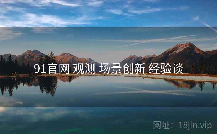91官网 观测 场景创新 经验谈