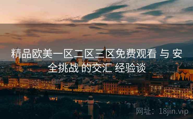 精品欧美一区二区三区免费观看 与 安全挑战 的交汇 经验谈