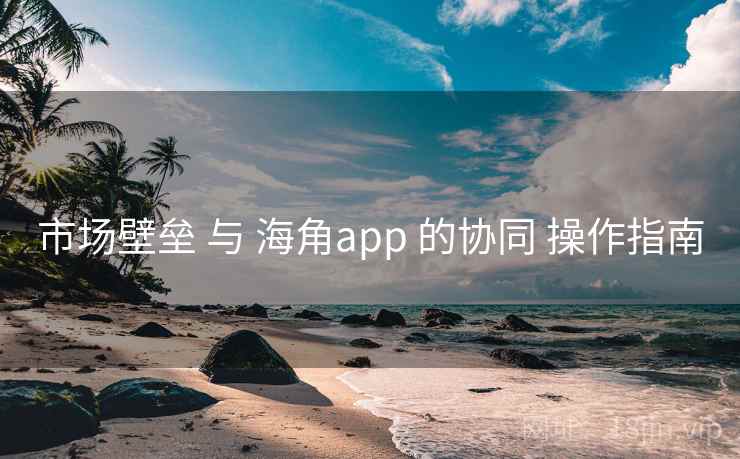 市场壁垒 与 海角app 的协同 操作指南